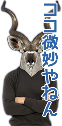 微妙な所